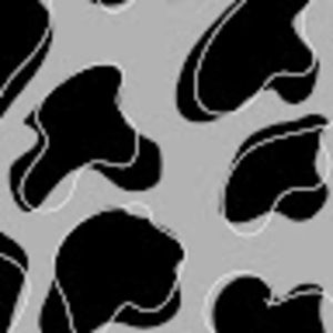 Meet your Posher, Brookelee